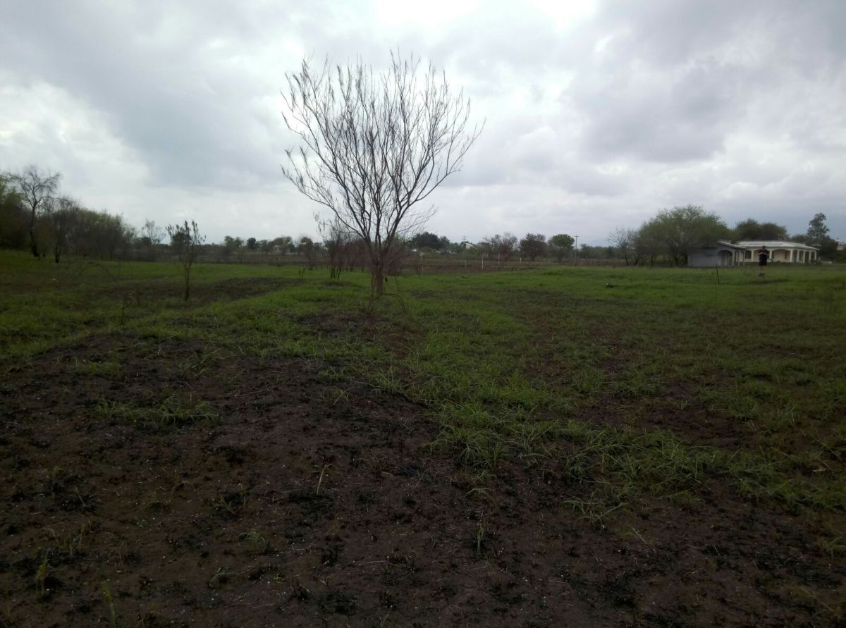 terreno-campestre-en-venta-cadereyta-n-lcerca-de-atongo-de-abajo4-37670