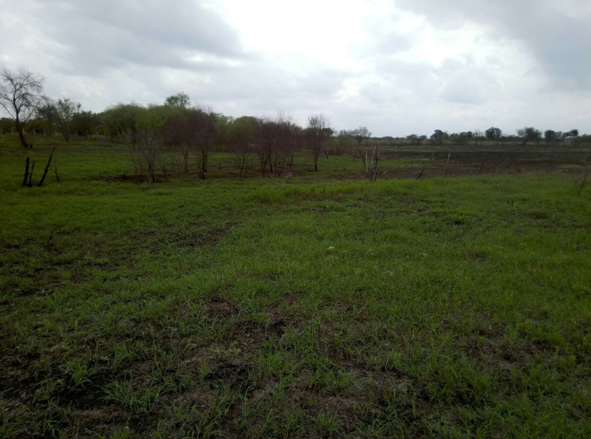 terreno-campestre-en-venta-cadereyta-n-lcerca-de-atongo-de-abajo7-37670