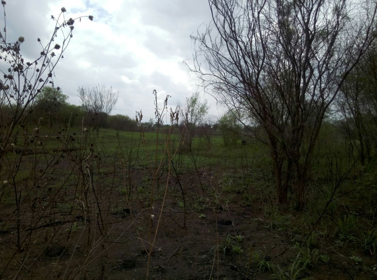 terreno-campestre-en-venta-cadereyta-n-lcerca-de-atongo-de-abajo8-37670