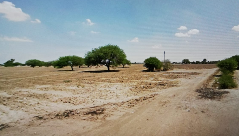 Terreno Campestre en Venta, Col. Ejido Cerritos en San Miguel de Allende