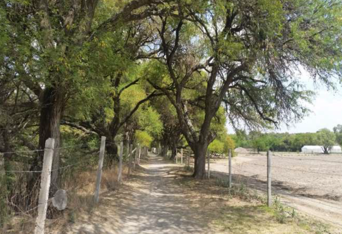 terreno-campestre-en-venta-en-atotonilco-san-miguel-de-allende10-13185