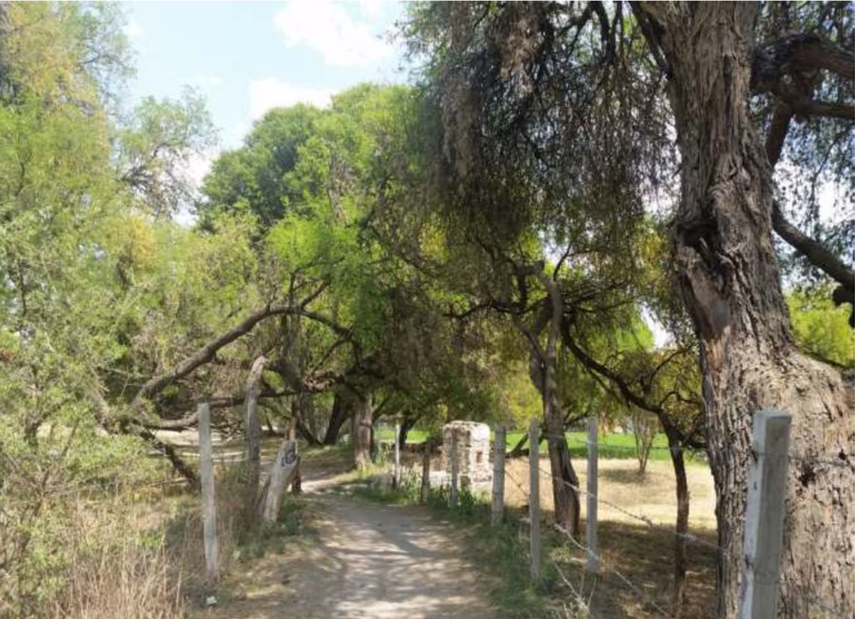 terreno-campestre-en-venta-en-atotonilco-san-miguel-de-allende11-13185