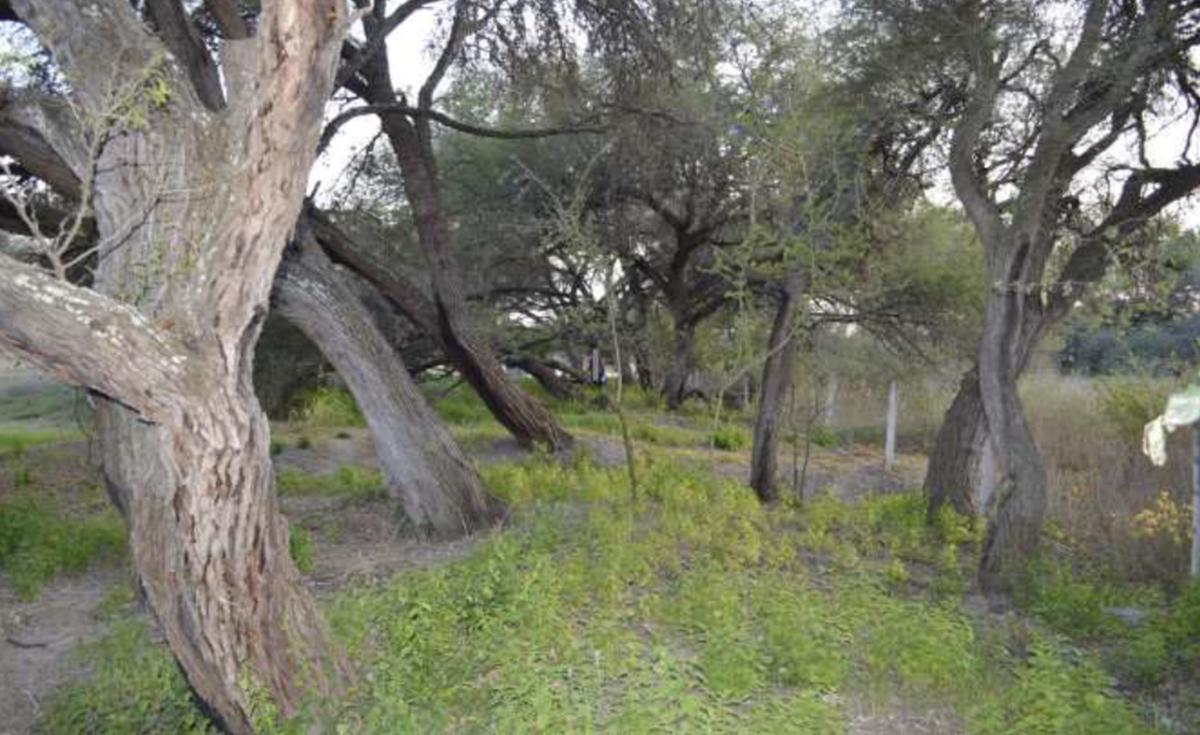 terreno-campestre-en-venta-en-atotonilco-san-miguel-de-allende13-13185