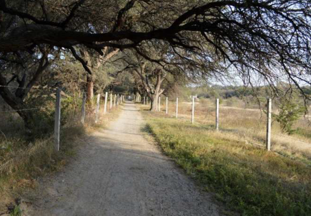 terreno-campestre-en-venta-en-atotonilco-san-miguel-de-allende3-13185