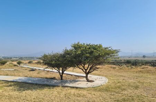 TERRENO CAMPESTRE EN VENTA