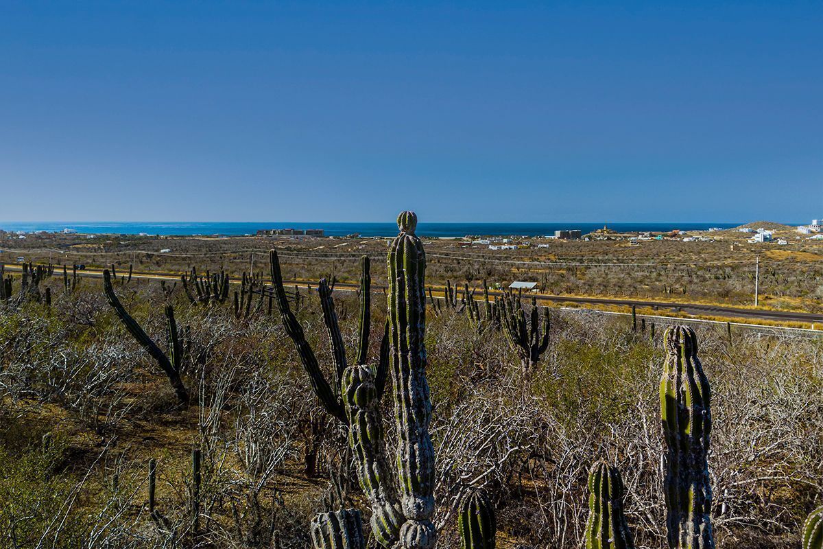 TERRENO CERRITOS BCS CARRETERA