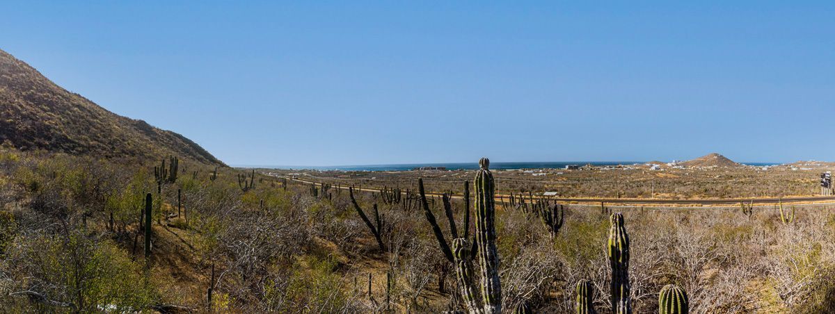 terreno-cerritos-bcs-carretera2-22545