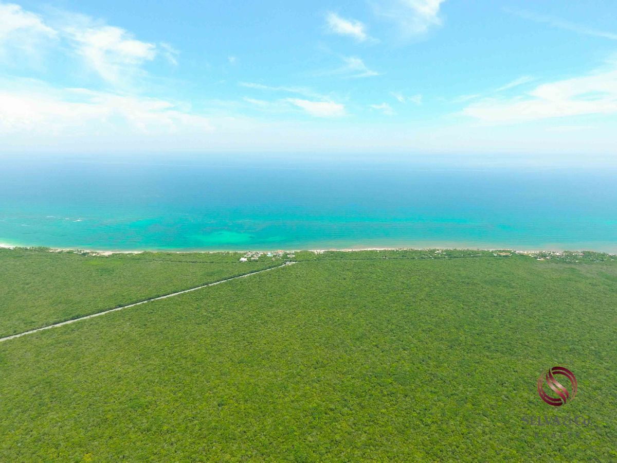 Terreno comercial en Aldea Zamá, Tulum