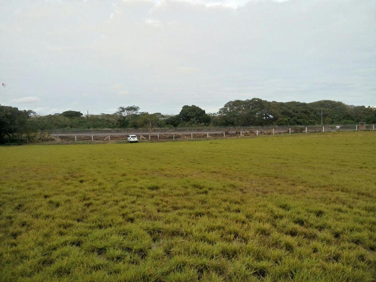 terreno-comercial-ventarenta--paso-del-toro-veracruz2-19558