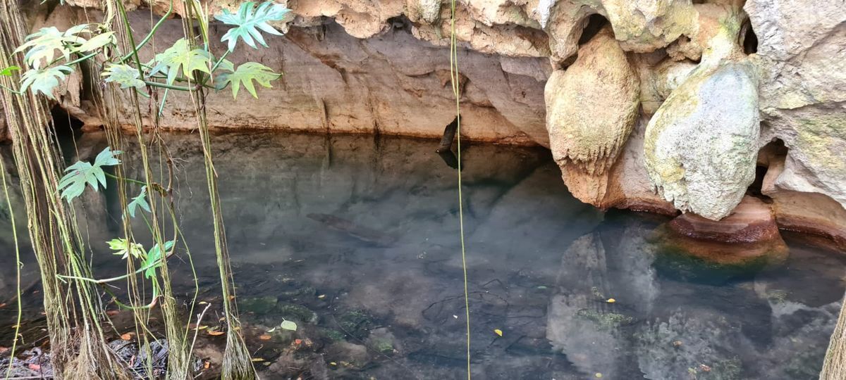 Terreno con Cenotes en Valladolid para Desarrollo