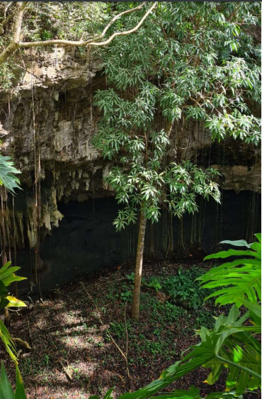 terreno-con-cenote-en-valladolid5-29946