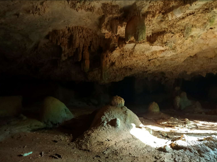 terreno-con-cenote-en-valladolid9-29946