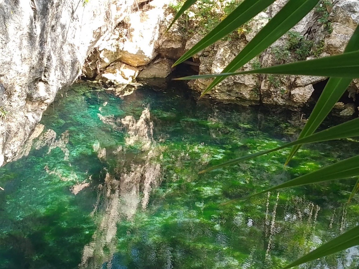 terreno-con-cenote-en-venta-en-akumal-ideal-para-ecoturismo-ecohotel-o-resid2-33391