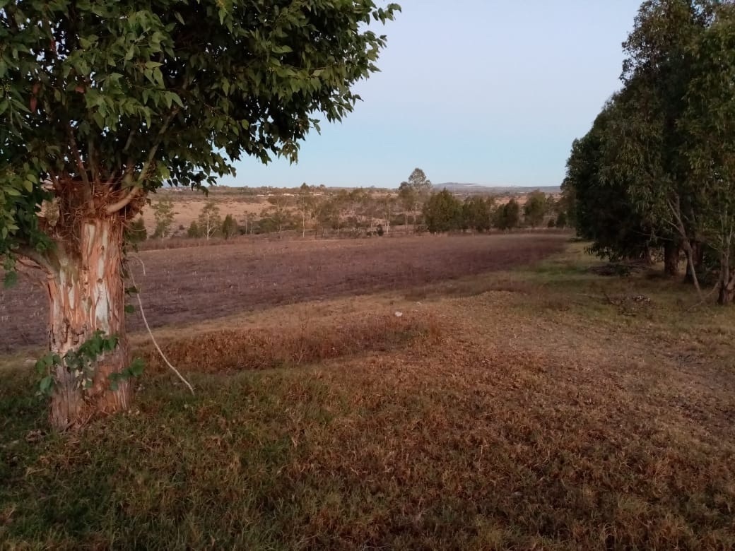 terreno-con-construccin-servicio-para-riego-luz-agua-potable-cultivos16-13969