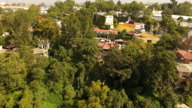 terreno-condominal-en-bosques-de-las-lomas6-15005