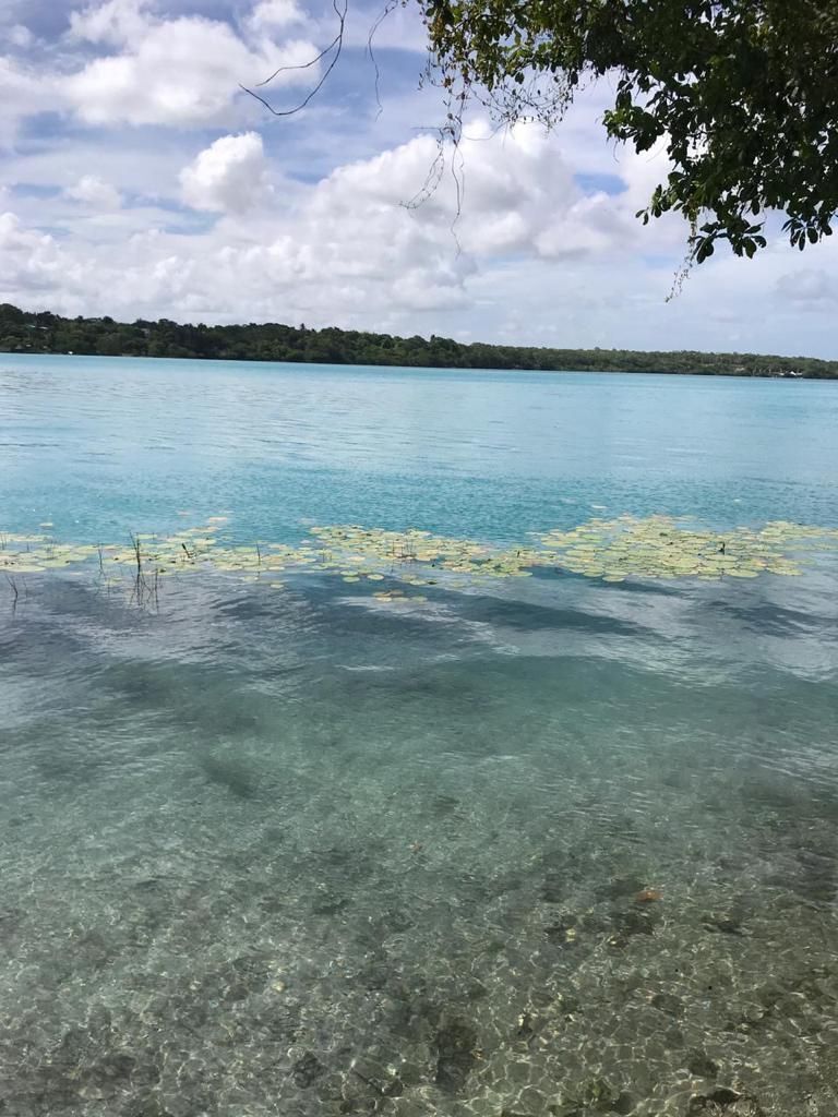 terreno-de-15-hectareas-con-frente-de-laguna-de-bacalar-costa-maya4-29824