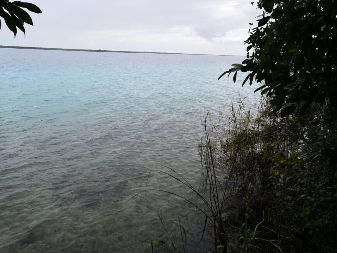 terreno-de-15-hectareas-con-frente-de-laguna-de-bacalar-costa-maya6-29824