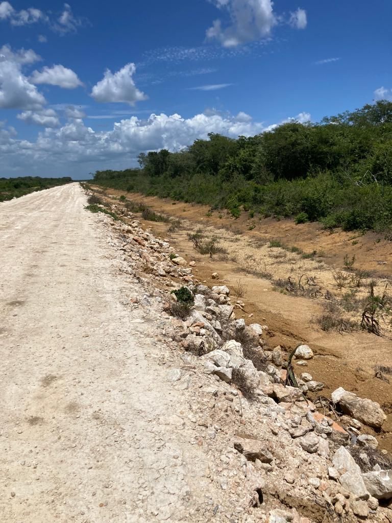 terreno-de-800-hectreas-en-el-cono-sur-de-yucatn10-17415