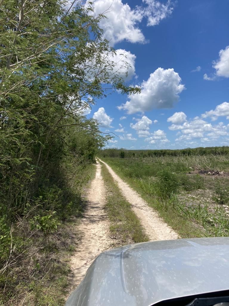 terreno-de-800-hectreas-en-el-cono-sur-de-yucatn2-17415