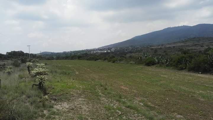 terreno-de-82-hectreas-en-venta-temascalapa-edomex11-37180