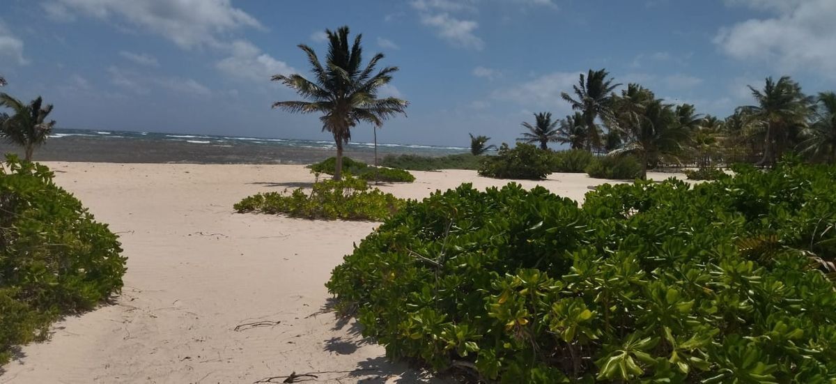 terreno-de-playa-en-mahahual4-30796