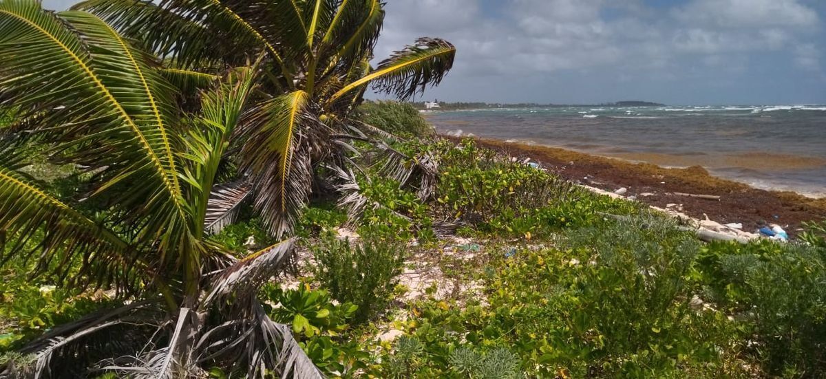 terreno-de-playa-en-mahahual6-30796