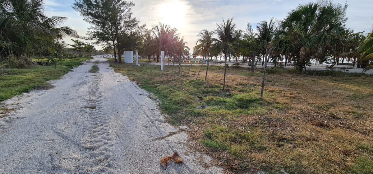 terreno-de-playa-en-venta-600-m2-carmen-campeche4-21424