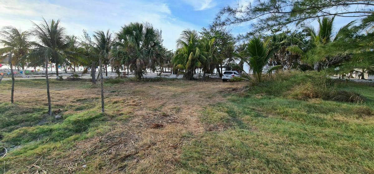 terreno-de-playa-en-venta-600-m2-carmen-campeche7-21424