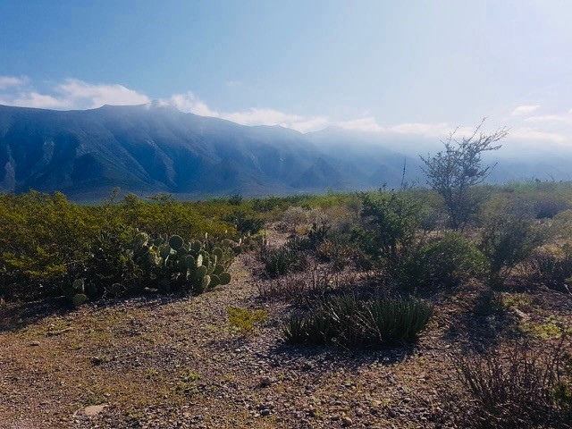 terreno-ejidal-con-cambio-de-destino-aprobado-en-bustamante-n-l1-13302