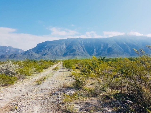 terreno-ejidal-con-cambio-de-destino-aprobado-en-bustamante-n-l11-13302