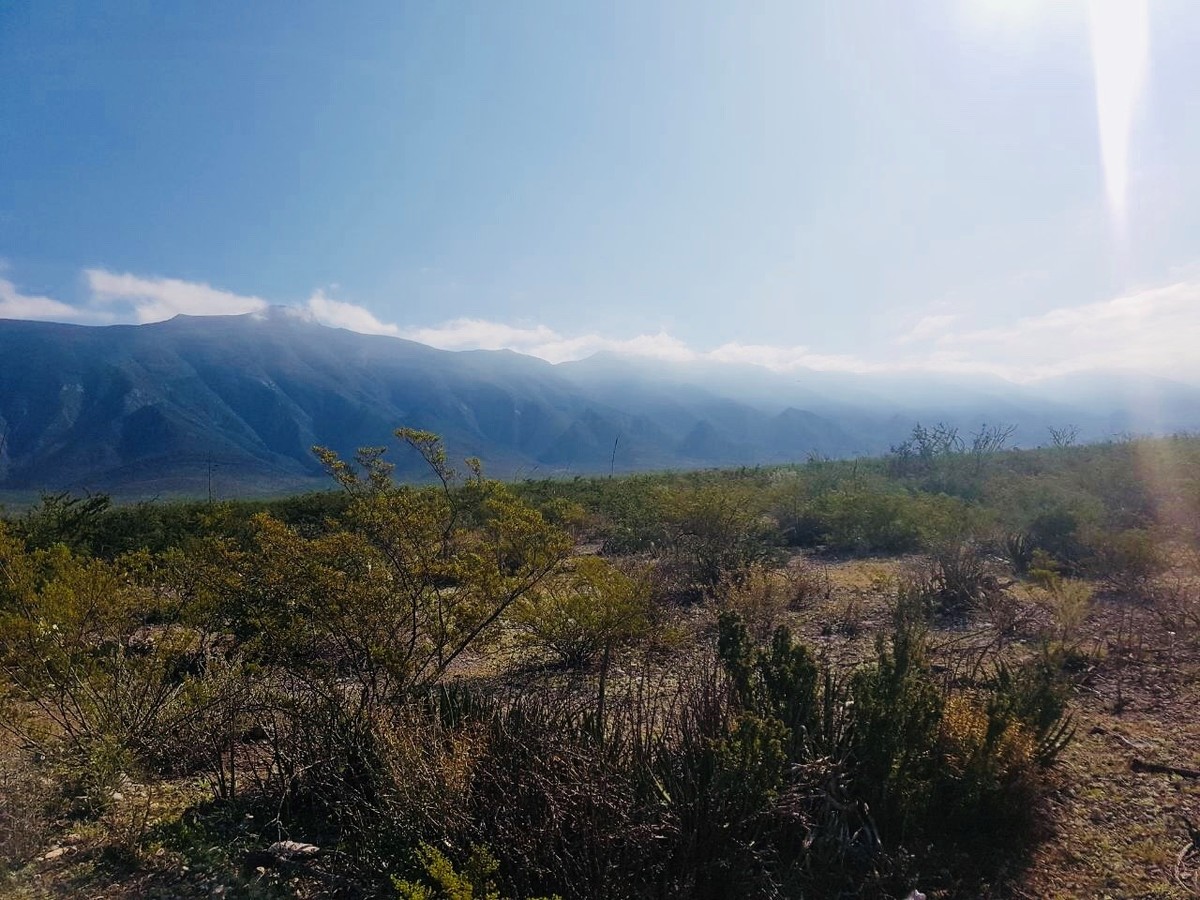 terreno-ejidal-con-cambio-de-destino-aprobado-en-bustamante-n-l14-13302