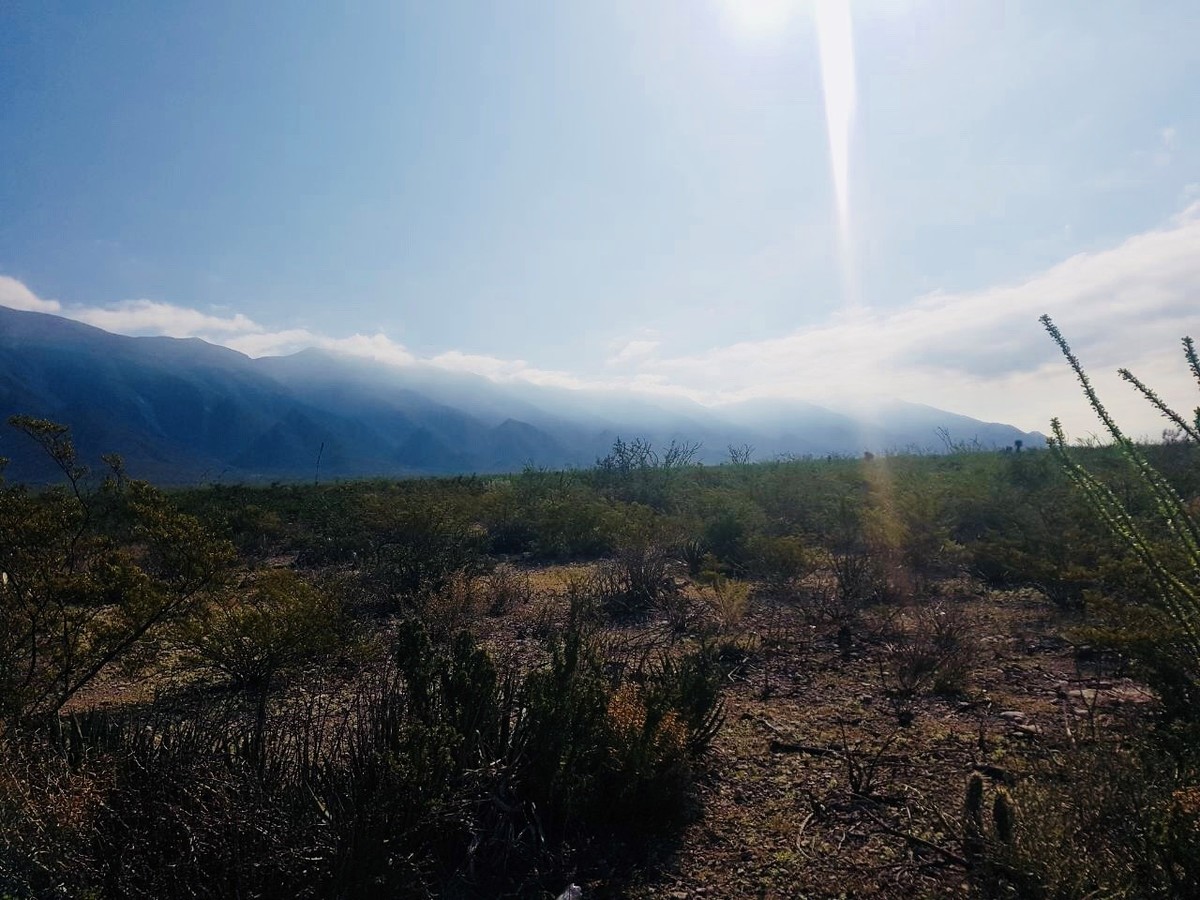 terreno-ejidal-con-cambio-de-destino-aprobado-en-bustamante-n-l15-13302