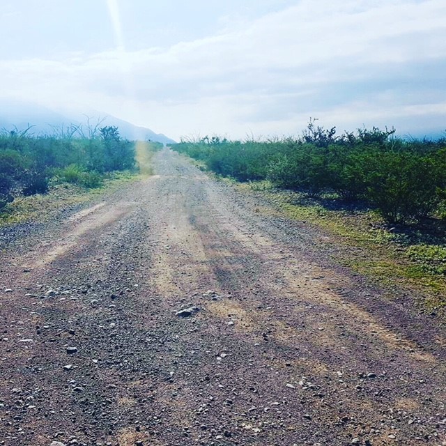 terreno-ejidal-con-cambio-de-destino-aprobado-en-bustamante-n-l2-13302