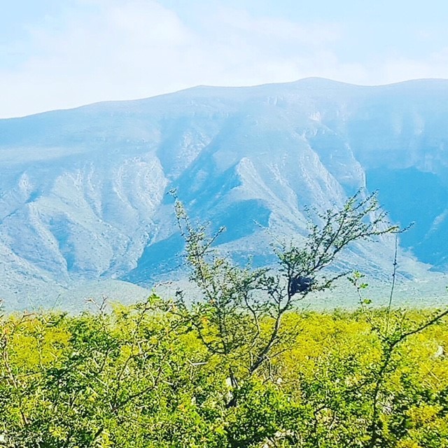 terreno-ejidal-con-cambio-de-destino-aprobado-en-bustamante-n-l5-13302