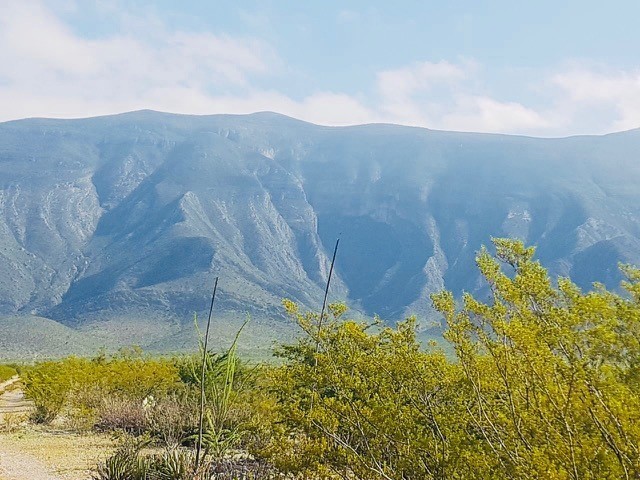 terreno-ejidal-con-cambio-de-destino-aprobado-en-bustamante-n-l6-13302