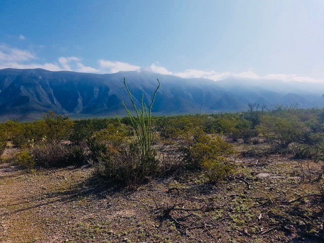 terreno-ejidal-con-cambio-de-destino-aprobado-en-bustamante-n-l7-13302