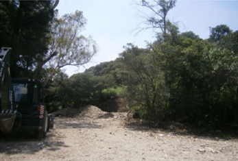 terreno-el-pedregal4-37544