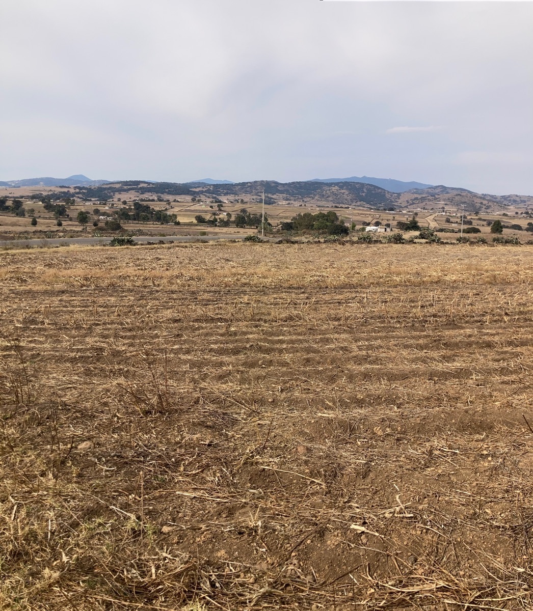 terreno-en-aculco-pueblo-mgico-estado-de-mxico4-13601