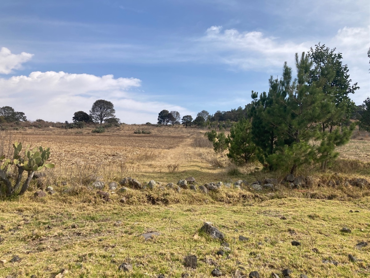 terreno-en-aculco-pueblo-mgico-estado-de-mxico5-13601