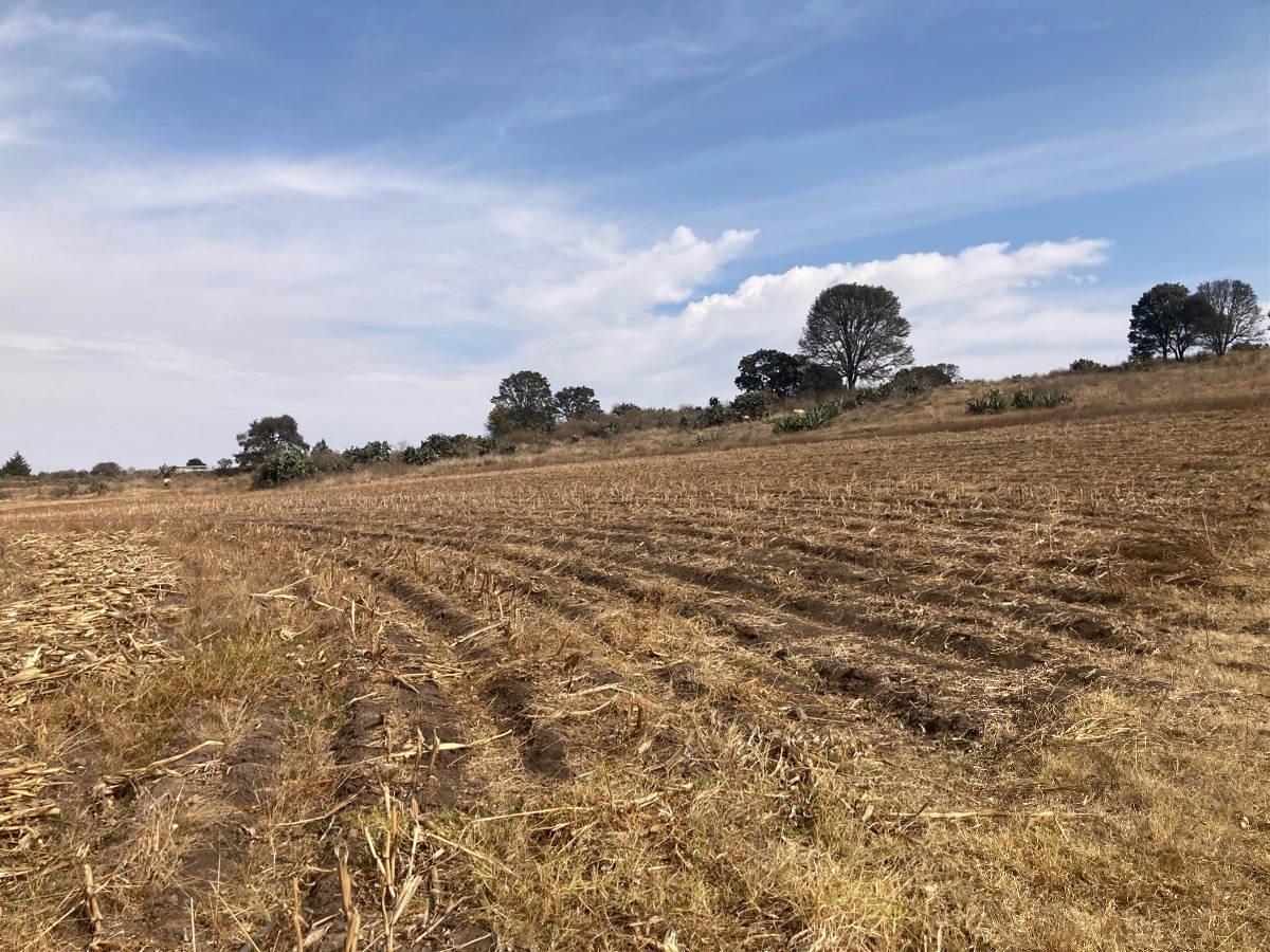 terreno-en-aculco-pueblo-mgico-estado-de-mxico6-13601