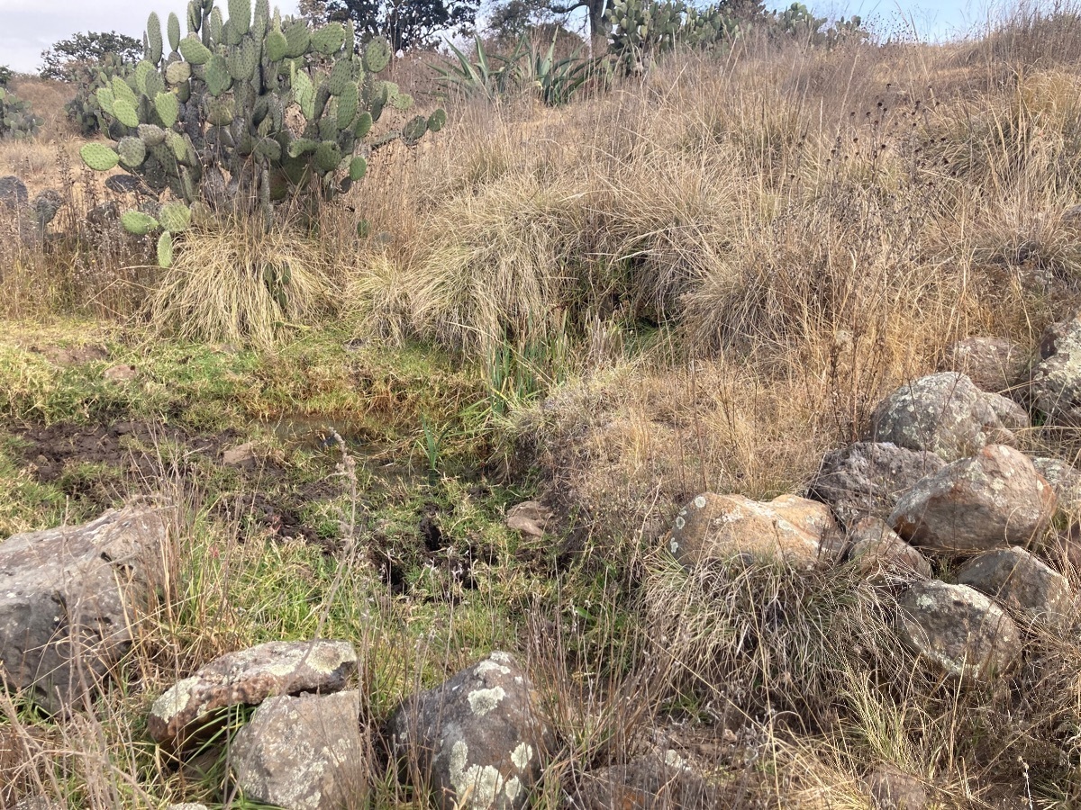 terreno-en-aculco-pueblo-mgico-estado-de-mxico8-13601