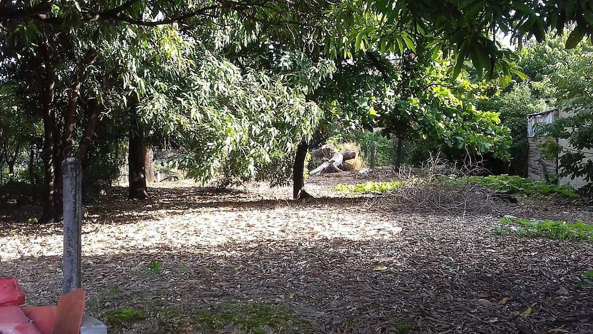 terreno-en-camino-al-club-campestre2-19186