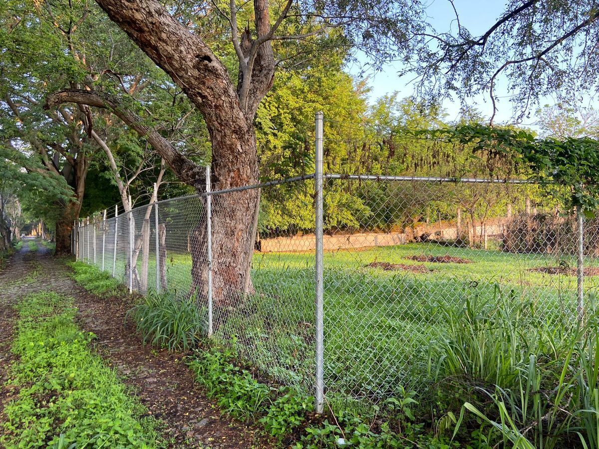 TERRENO EN COMALA, COLIMA