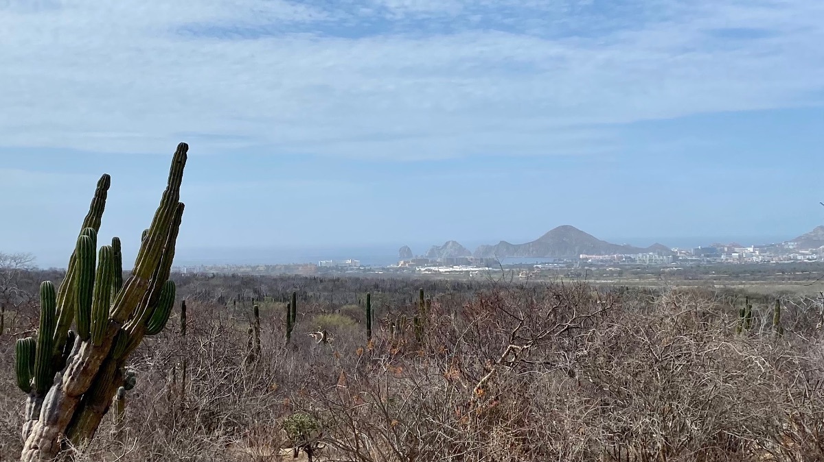 Terreno en El Tezal