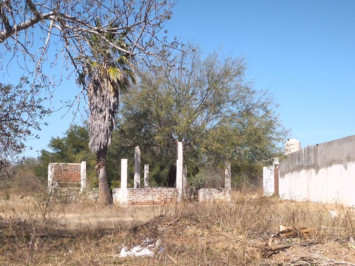 terreno-en-esquina-la-cabaa-san-pedro-en-renta4-36115