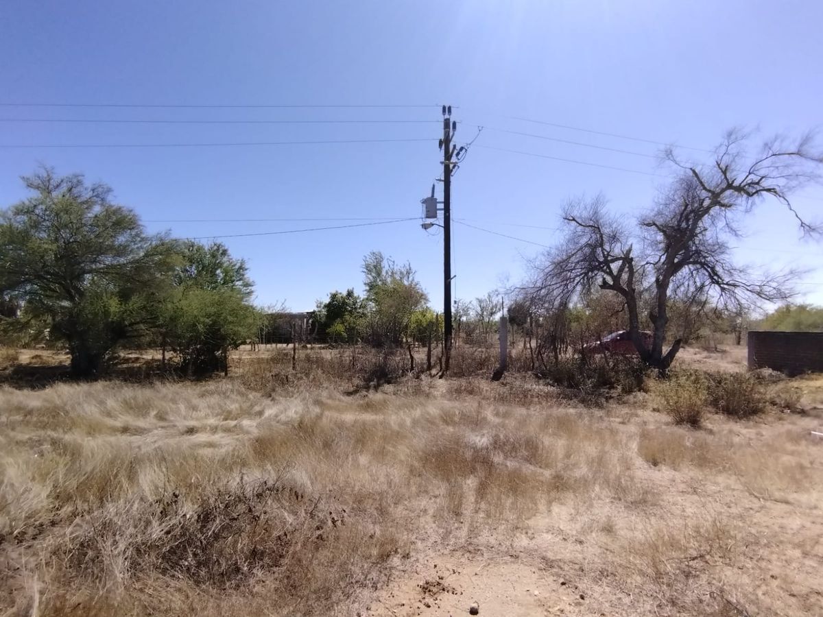 terreno-en-esquina-la-cabaa-san-pedro-en-renta5-36115