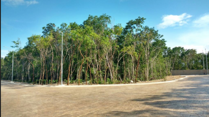 terreno-en-jardines-de-ciudad-mayakoba-solidaridad4-7965