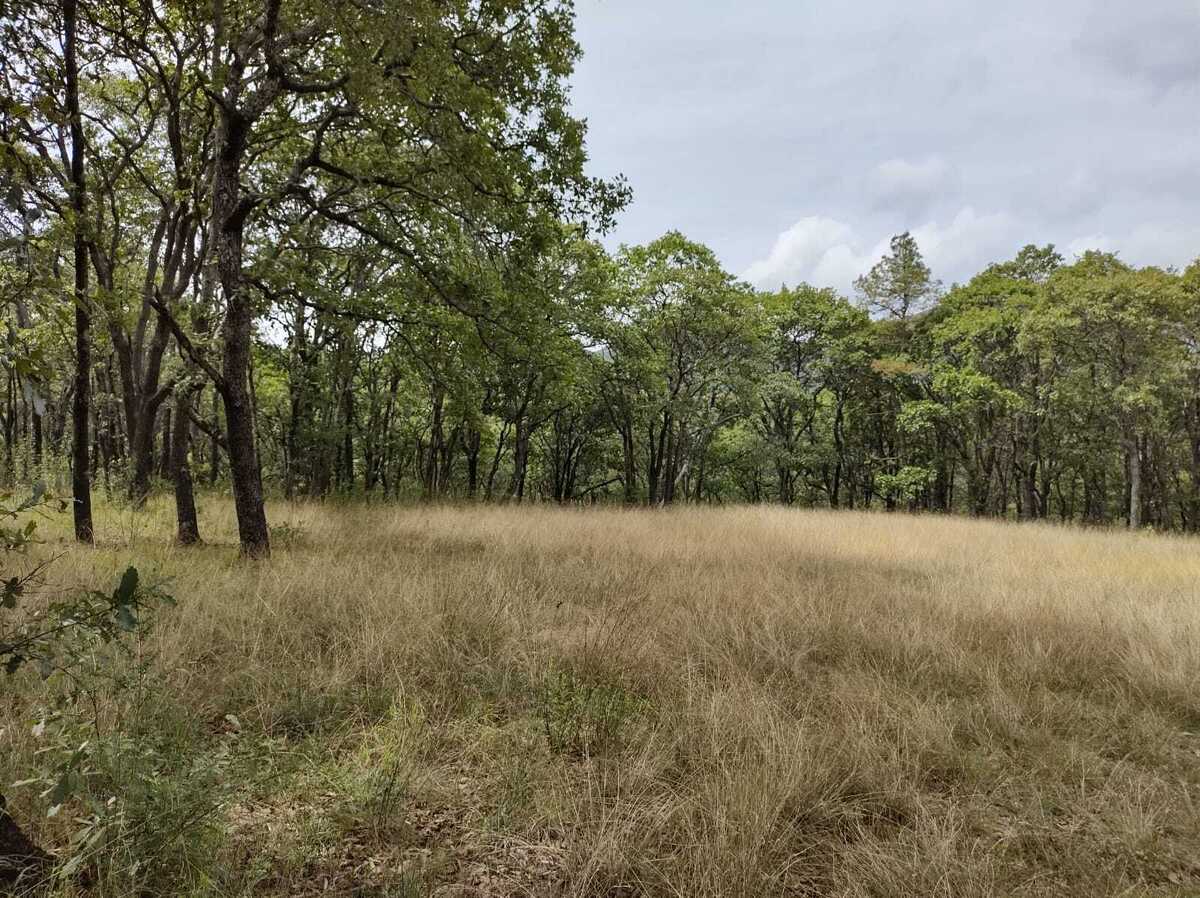 terreno-en-jilotzingo-a-17km-de-colegio-lasalle3-15066