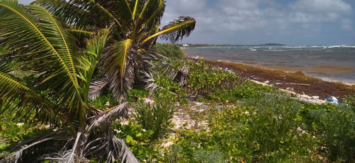 terreno-en-la-playa-de-mahahual8-37799