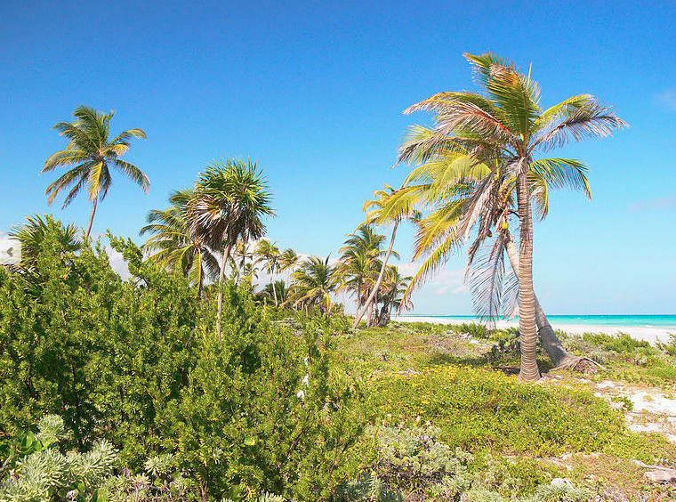 Terreno en Mahahual, Othón P. Blanco